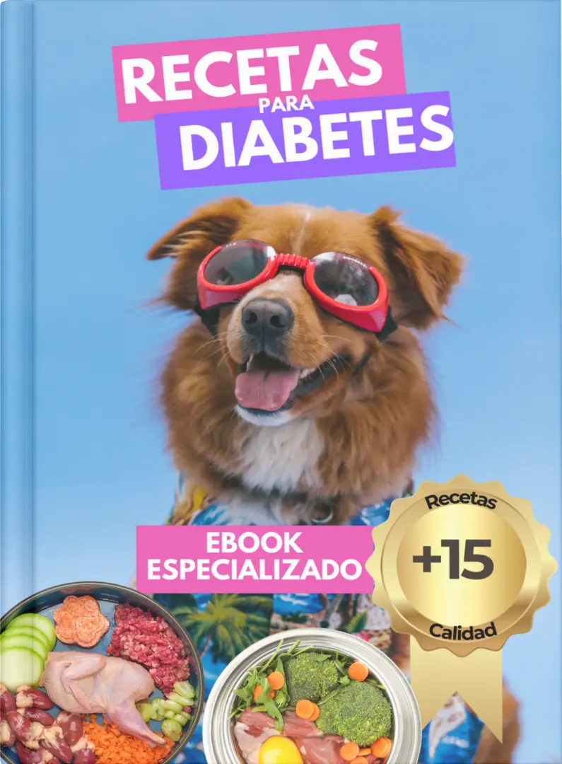 Recetas para Diabetes